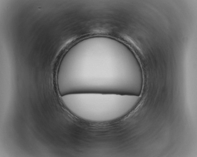 X0000112751307200908201005