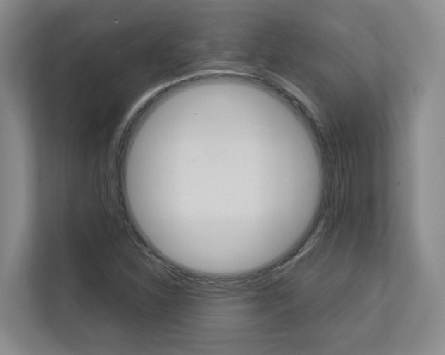 X0000112751310200908201005