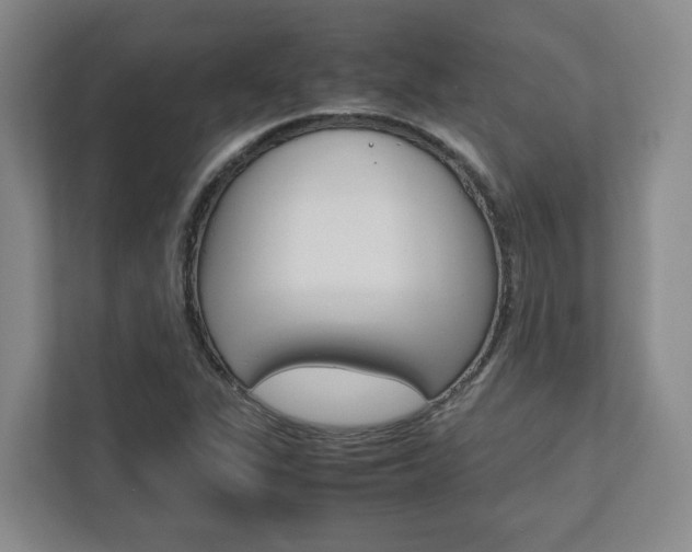 X0000112751311200908201005