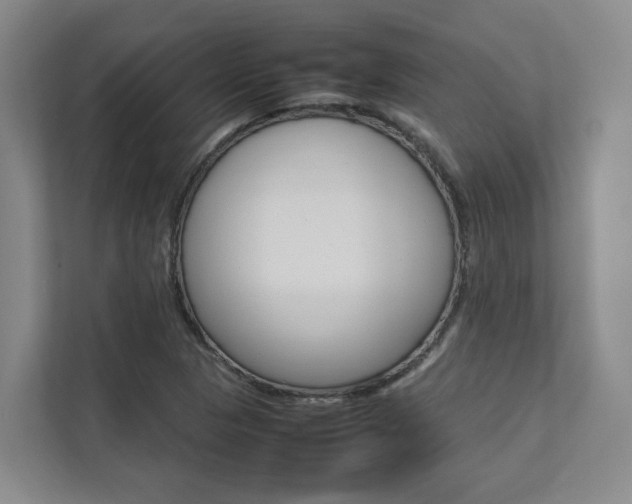 X0000112751313200908201005