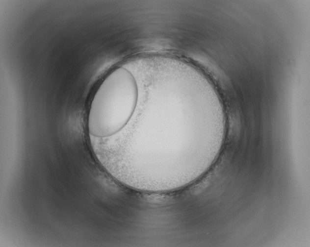 X0000112751314200908201005