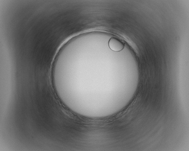 X0000112751316200908201005