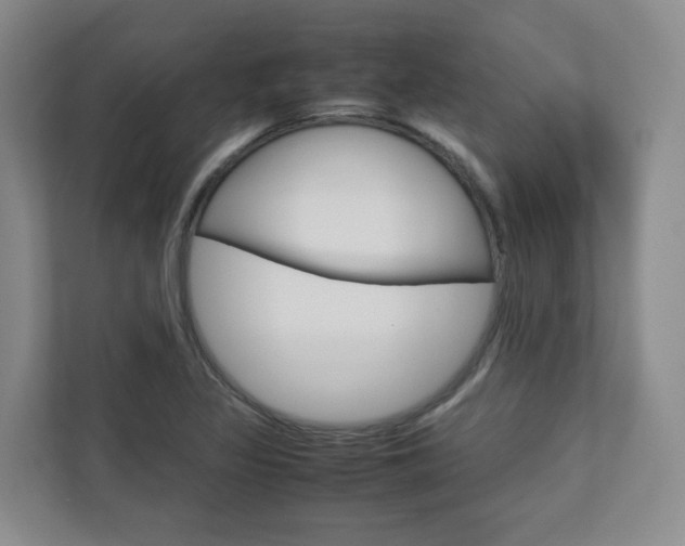 X0000112751317200908201005