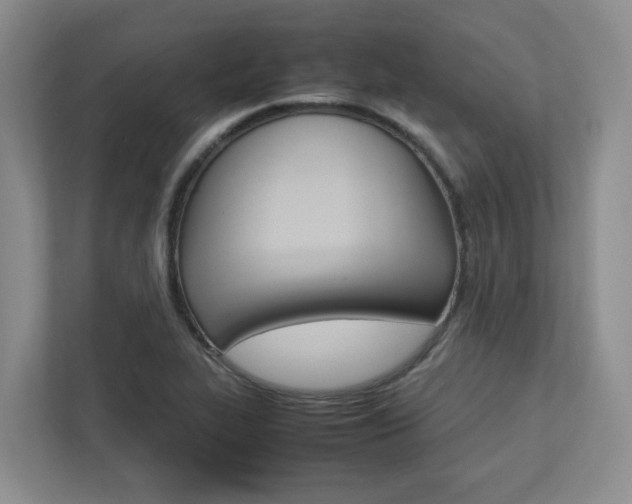 X0000112751319200908201005