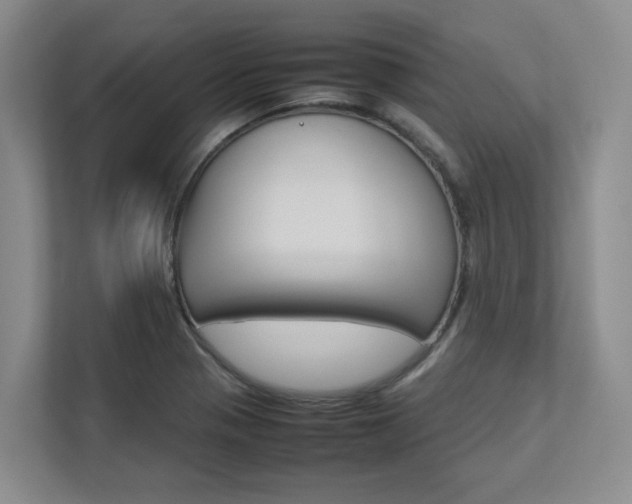 X0000112751321200908201005