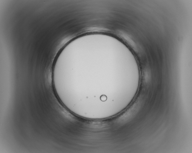 X0000112751322200908201005