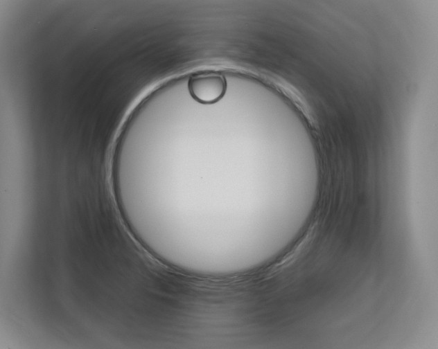 X0000112751326200908201005