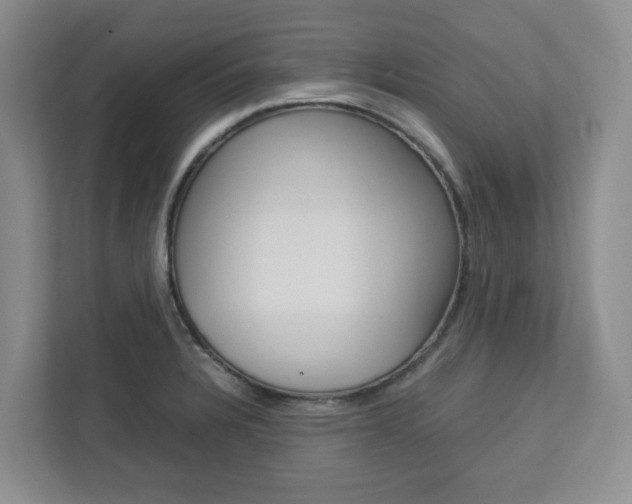 X0000112751328200908201005
