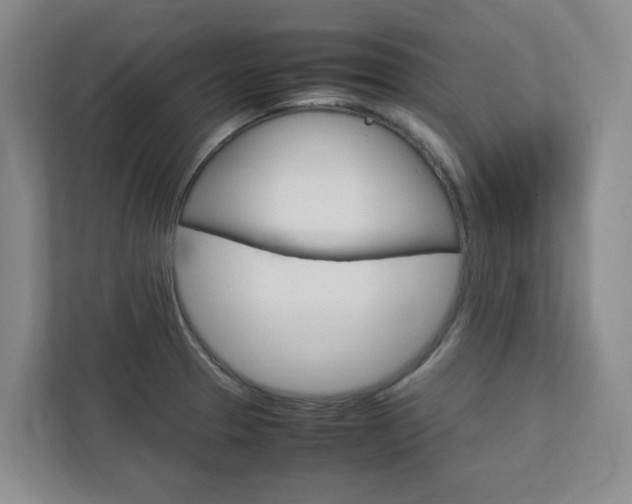 X0000112751329200908201005