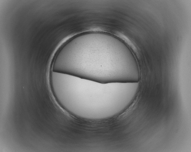 X0000112751331200908201005