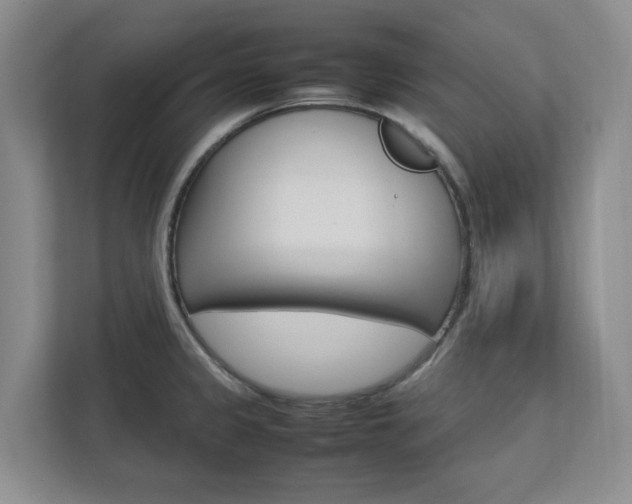 X0000112751333200908201005
