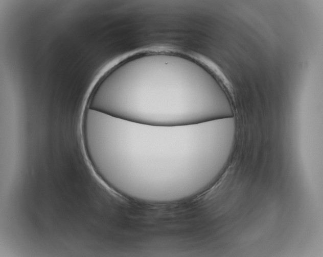 X0000112751335200908201005