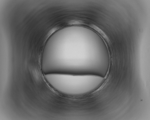 X0000112751337200908201006