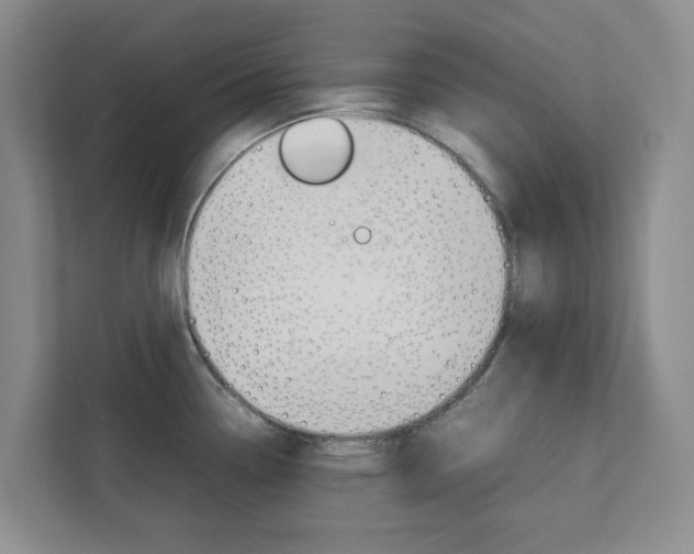 X0000112751338200908201006