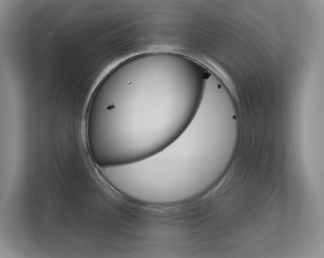 X0000112751340200908201006