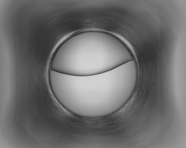 X0000112751341200908201006