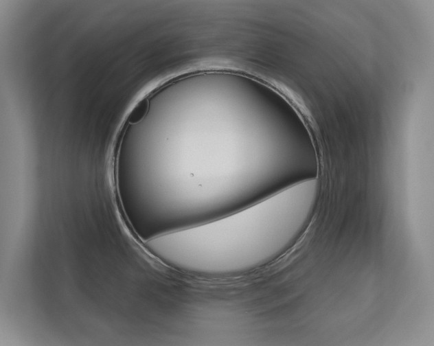 X0000112751342200908201006
