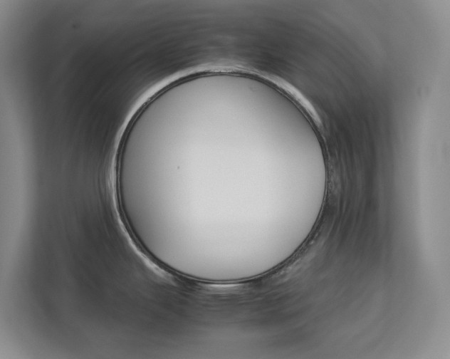 X0000112751343200908201006
