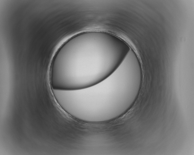 X0000112751344200908201006