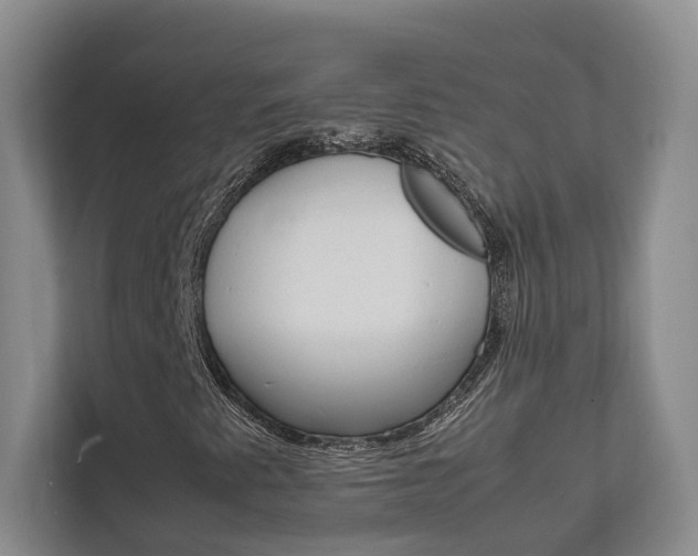 X0000112751345200908201005
