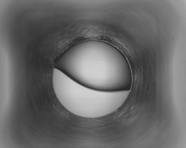X0000112751348200908201005