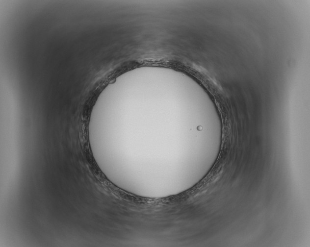 X0000112751350200908201005