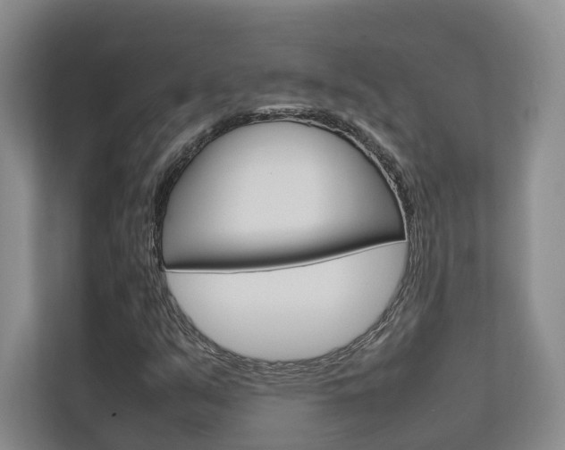 X0000112751351200908201005