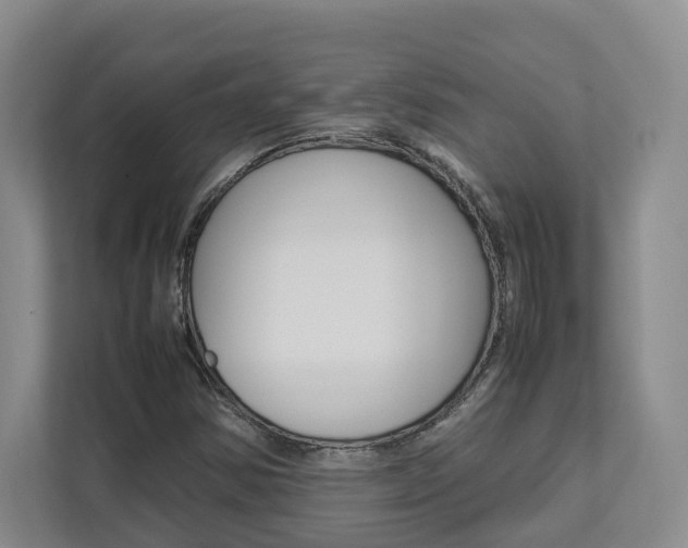 X0000112751354200908201005