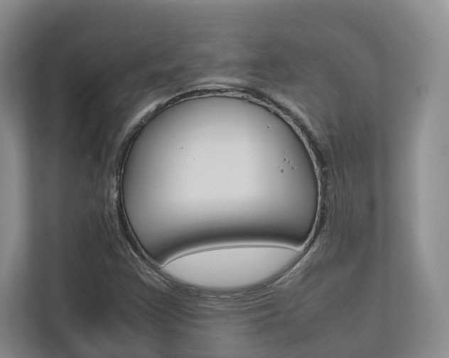X0000112751355200908201005