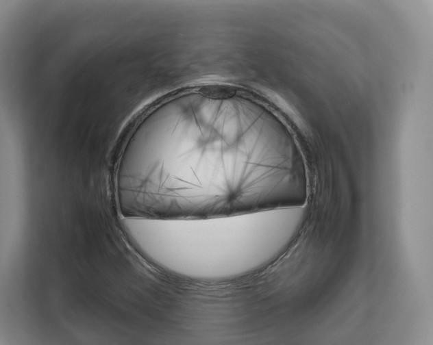 X0000112751356200908201005