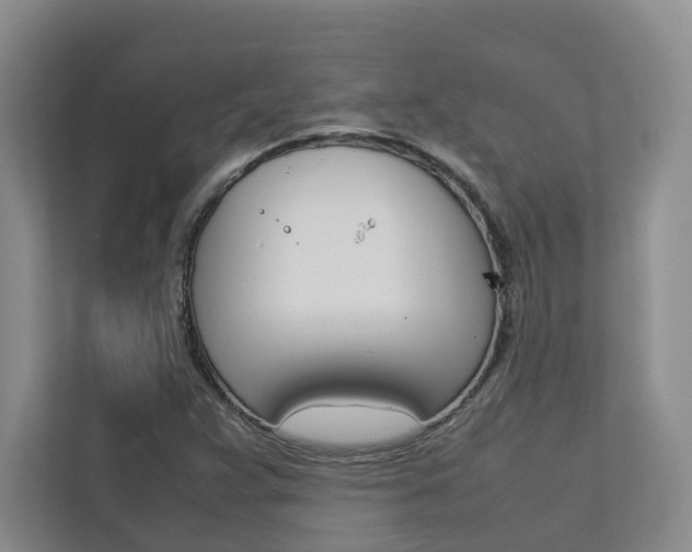 X0000112751359200908201005