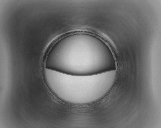X0000112751360200908201005