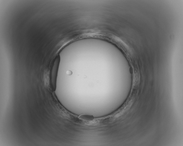 X0000112751361200908201005