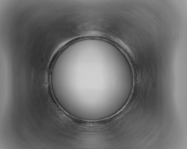 X0000112751364200908201005