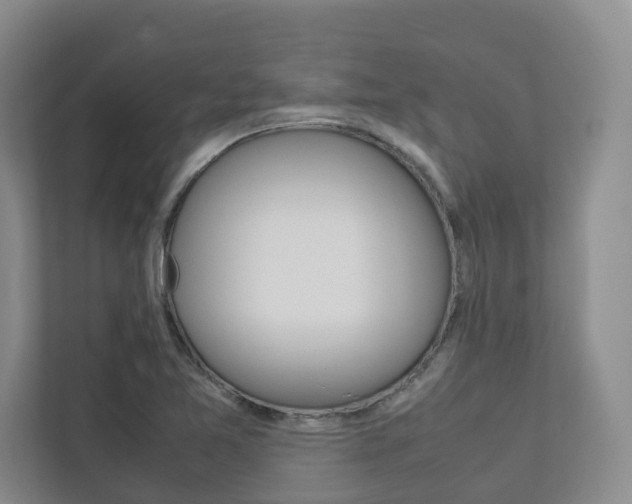 X0000112751365200908201005