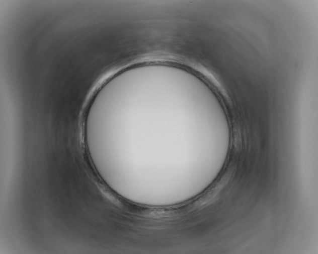 X0000112751366200908201005