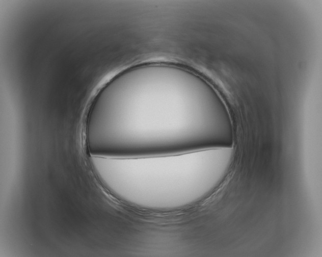 X0000112751367200908201005
