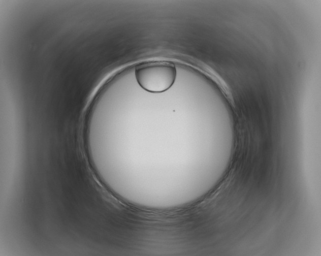 X0000112751368200908201005