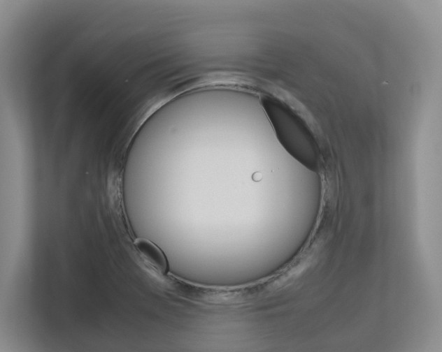 X0000112751369200908201005