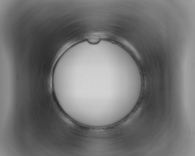 X0000112751370200908201005