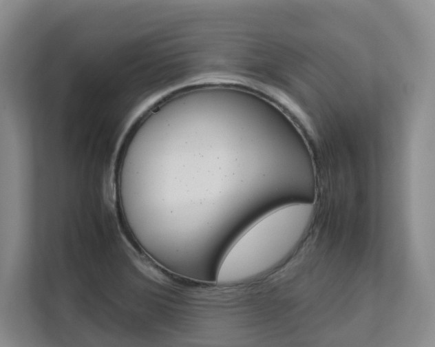 X0000112751372200908201005