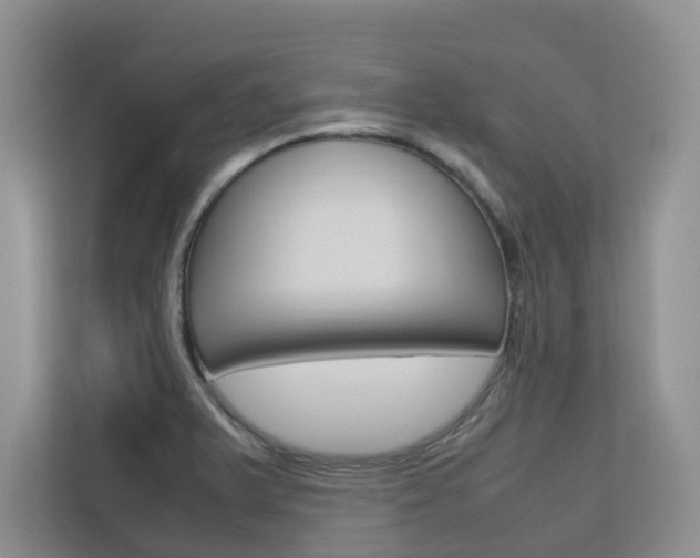 X0000112751375200908201005