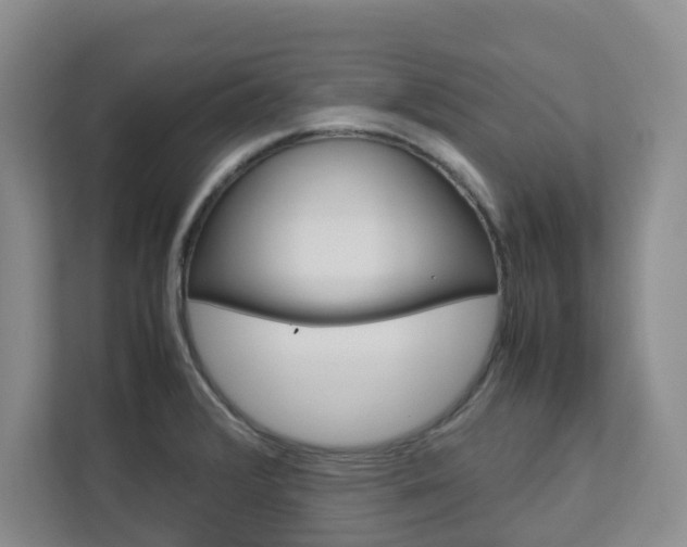 X0000112751376200908201005