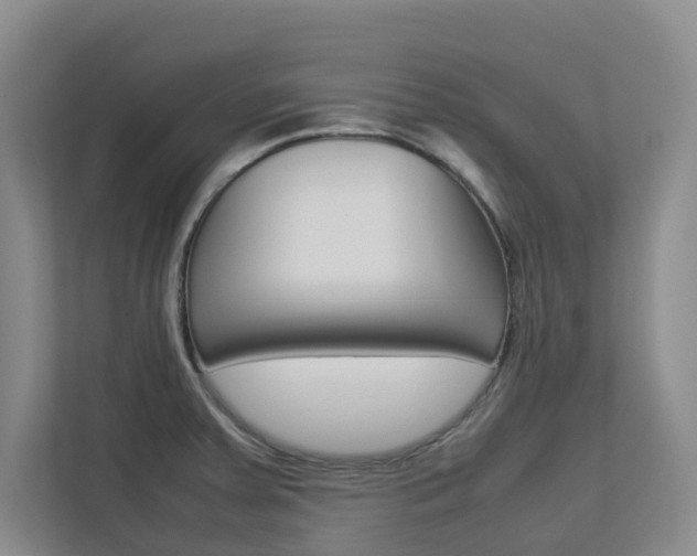 X0000112751379200908201005