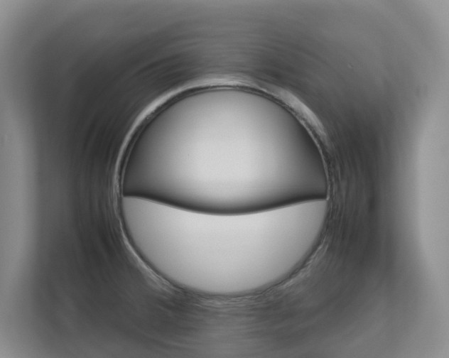 X0000112751380200908201005