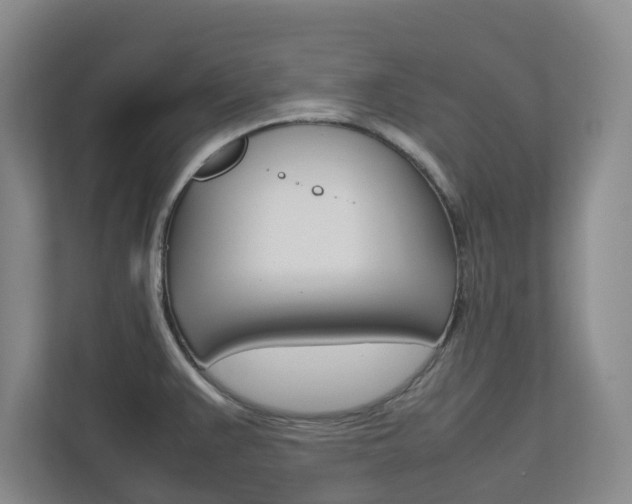 X0000112751383200908201004