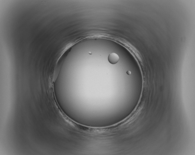 X0000112751385200908201004