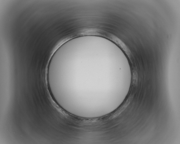 X0000112751386200908201004