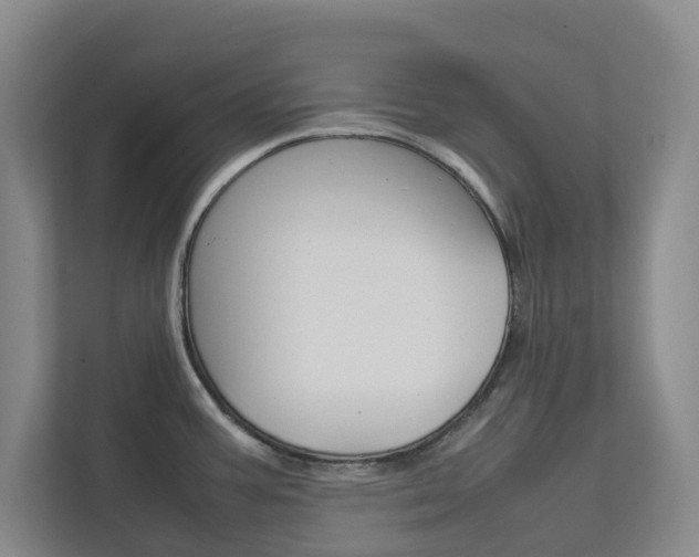 X0000112751387200908201004