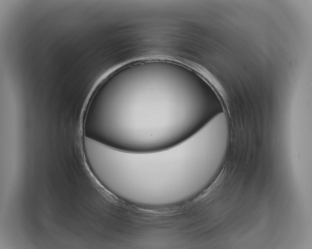 X0000112751388200908201004